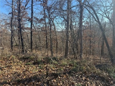 Lake Windsor Lot For Sale in Bella Vista Arkansas