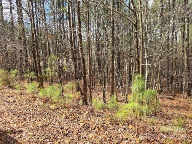 High Rock Lake Lot For Sale in Denton North Carolina