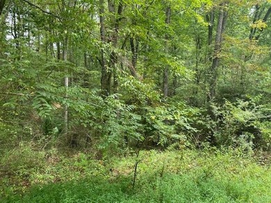 Large 2,59-acre lot in Keating Hollow Subdivision near - photo 1