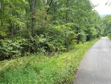 Large 2,59-acre lot in Keating Hollow Subdivision near - photo 2