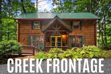 (private lake, pond, coastal) Home For Sale in Blue Ridge Georgia