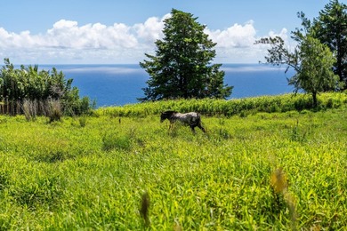 Commanding panoramic views of the Pacific Ocean and the slopes - photo 4