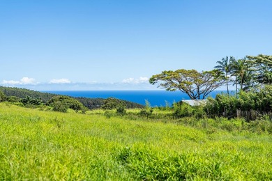 Commanding panoramic views of the Pacific Ocean and the slopes - photo 5