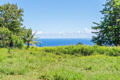 Commanding panoramic views of the Pacific Ocean and the slopes - photo 8