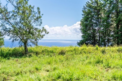 Commanding panoramic views of the Pacific Ocean and the slopes - photo 10