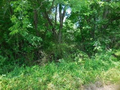 Located in a Lake Tawakoni subdivision. Sandy Shores in East - photo 3