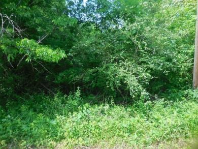 Located in a Lake Tawakoni subdivision. Sandy Shores in East - photo 4