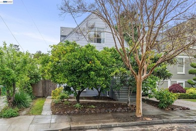 Surrounded by an abundant orchard, this sunny Bay Area Edwardian - photo 1