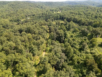 Looking for acreage with loads of potential? You do not want to - photo 11