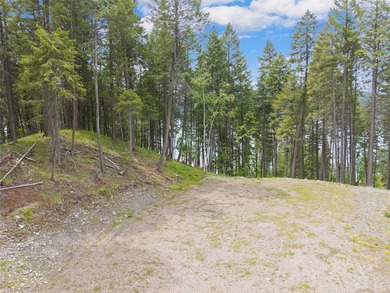 Whitefish Lake frontage with dual building sites! Positioned on - photo 18