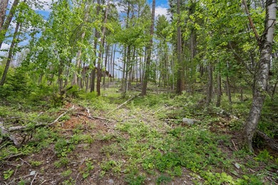 Whitefish Lake frontage with dual building sites! Positioned on - photo 22