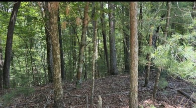 Build your North Georgia mountain DREAM HOME on this beautiful - photo 6