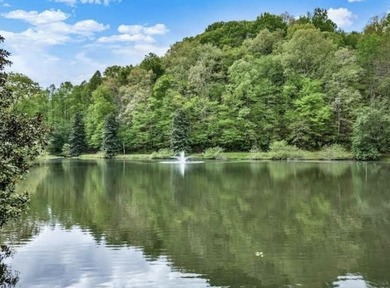 Build your North Georgia mountain DREAM HOME on this beautiful - photo 8