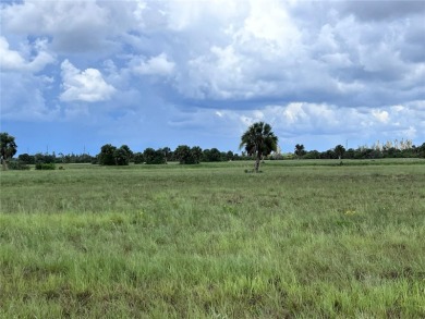 Rotunda Meadows Lakes  Lot For Sale in Placida Florida