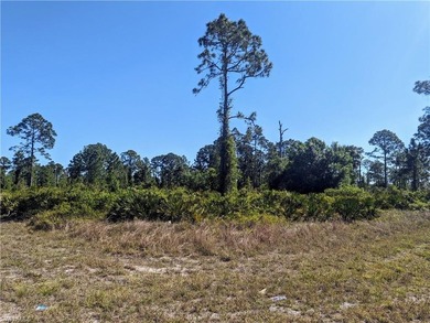 Lehigh Acres Area Lot For Sale in Lehigh Acres Florida