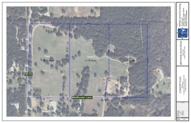 Lake Ray Roberts Acreage For Sale in Valley View Texas