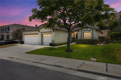 16796 Colt Way - photo 1
