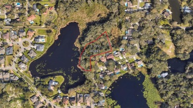 (private lake, pond, creek) Lot For Sale in Tampa Florida