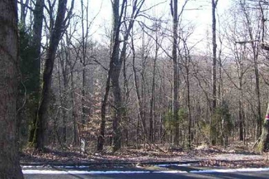 Cherokee Lake Lot For Sale in Morristown Tennessee