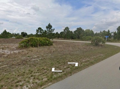 Lehigh Acres Area Lot For Sale in Lehigh Acres Florida