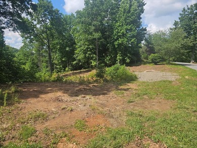 Build your mountain dream home on this beautiful 1.01-acre lot - photo 2