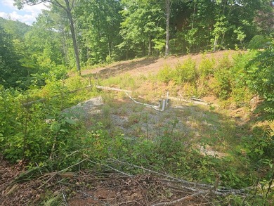 Build your mountain dream home on this beautiful 1.01-acre lot - photo 4