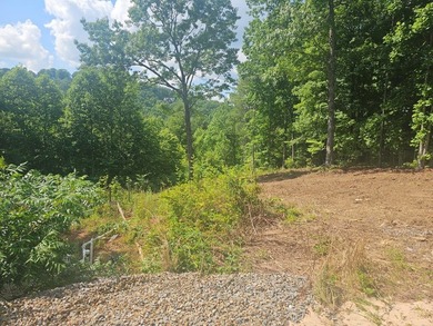 Build your mountain dream home on this beautiful 1.01-acre lot - photo 5