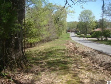 Lake Acreage For Sale in Cadiz, Kentucky