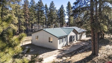 Summit Reservoir Home For Sale in Mancos Colorado