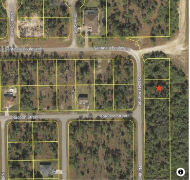 Lehigh Acres Area Lot For Sale in Lehigh Acres Florida