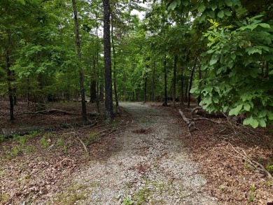 Lake Acreage For Sale in Mountain Home, Arkansas
