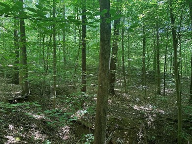 #73320-Lake Escape!! Seeking a way to get to the lake without - photo 11