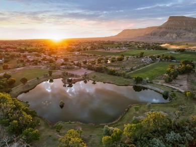 Discover an unparalleled opportunity to own a serene oasis in - photo 13