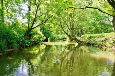 Welcome to one of the most unique creekfront opportunities - photo 6