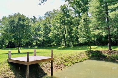 Welcome to one of the most unique creekfront opportunities - photo 8