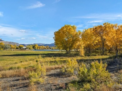 Discover an unparalleled opportunity to own a serene oasis in - photo 19
