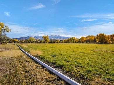 Discover an unparalleled opportunity to own a serene oasis in - photo 20