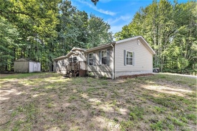 Lake Home For Sale in Custer, Michigan