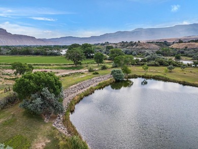 Discover an unparalleled opportunity to own a serene oasis in - photo 29