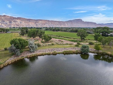 Discover an unparalleled opportunity to own a serene oasis in - photo 30