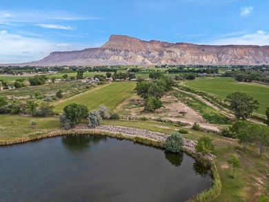 Discover an unparalleled opportunity to own a serene oasis in - photo 31