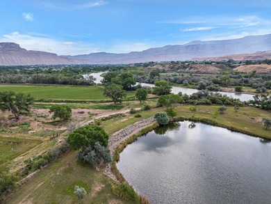 Discover an unparalleled opportunity to own a serene oasis in - photo 32