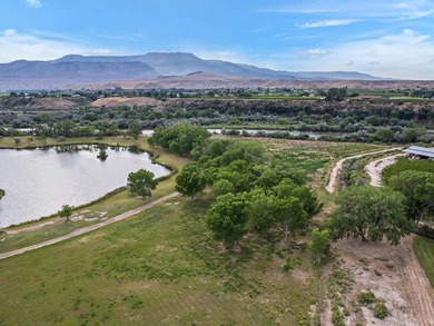 Discover an unparalleled opportunity to own a serene oasis in - photo 35
