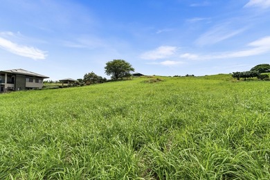 This is certainly one of the best lot deals in Hokulia - photo 8