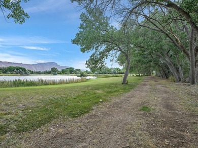 Discover an unparalleled opportunity to own a serene oasis in - photo 39