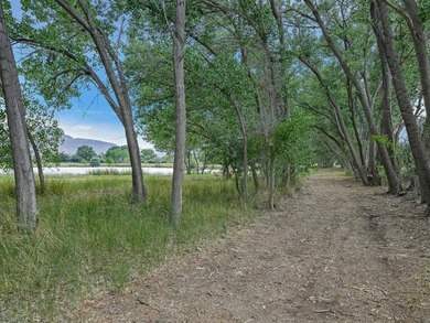 Discover an unparalleled opportunity to own a serene oasis in - photo 40