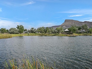 Discover an unparalleled opportunity to own a serene oasis in - photo 41