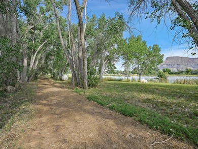 Discover an unparalleled opportunity to own a serene oasis in - photo 42