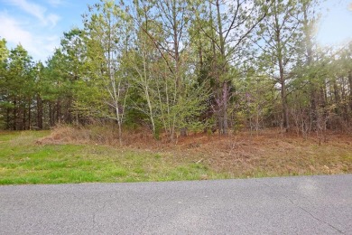 Lake Lot Sale Pending in Dover, Tennessee