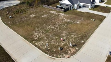 Copper Ridge is Mandeville's newest boutique subdivision. The - photo 3